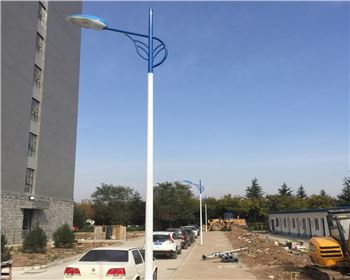 寧夏市電路燈-寧夏省西安市西北大學(xué)長(zhǎng)安校區(qū)路燈工程