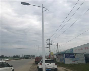 甘肅漢中市城固縣上元觀街道路燈照明項目